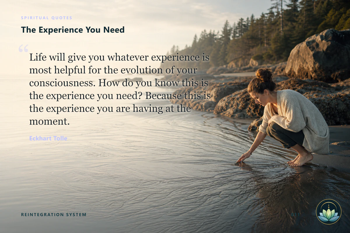 The Experience You Need. Life will give you whatever experience is most helpful for the evolution of your consciousness. How do you know this is the experience you need? Because this is the experience you are having at the moment. Eckhart Tolle