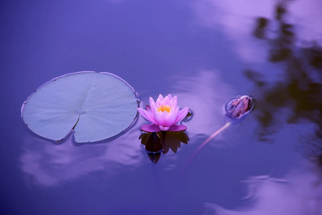 Spiritual Liberation