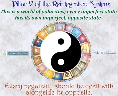Reintegration System