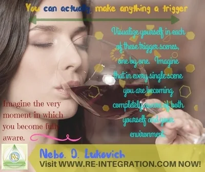 Reintegration System