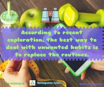 Reintegration System