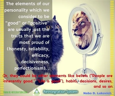Reintegration System