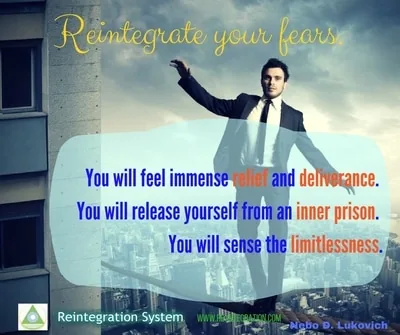 Reintegration System