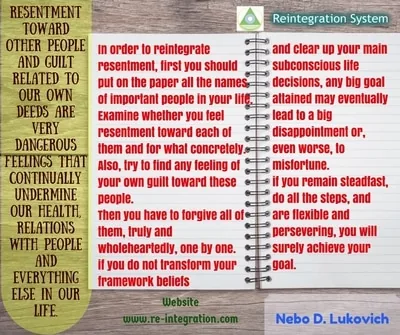 Reintegration System