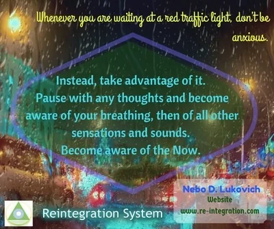 Reintegration System