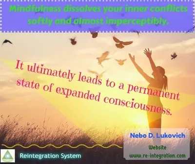 Reintegration System