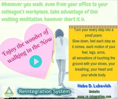 Reintegration System
