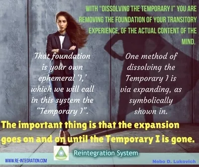 Reintegration System