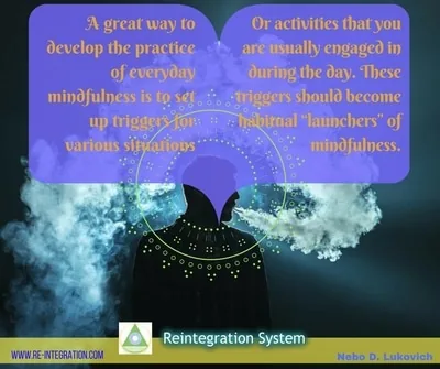 Reintegration System