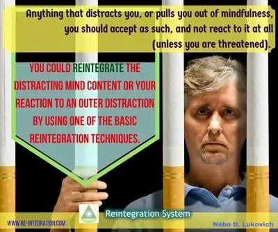 Reintegration System